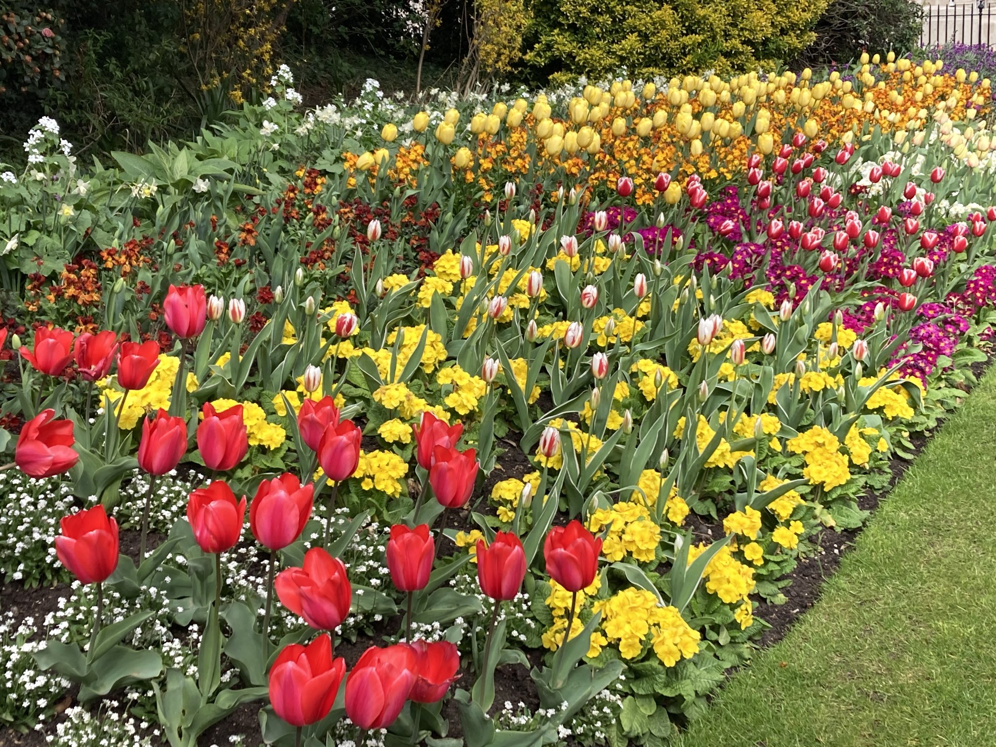 Spring bedding in St. James's Park